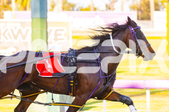 2025_PACEPIX_GP14102025_Race2_Siangdi_WIN_WEB-3