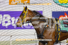 1_2026_Pacepix_GP07082026_Race2_SohoMoonraker_WIN_WEB-11