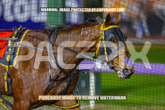 2026_Pacepix_GP07082026_Race2_SohoMoonraker_WIN_WEB-15