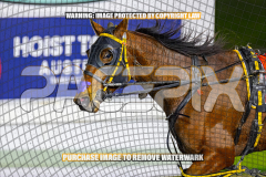 2026_Pacepix_GP07082026_Race2_SohoMoonraker_WIN_WEB-17