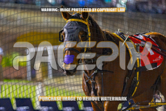 2026_Pacepix_GP07082026_Race2_SohoMoonraker_WIN_WEB-23