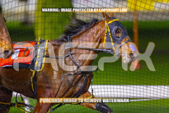 2026_Pacepix_GP07082026_Race2_SohoMoonraker_WIN_WEB-3