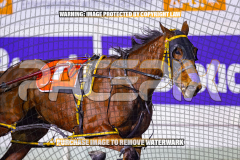 2026_Pacepix_GP07082026_Race2_SohoMoonraker_WIN_WEB-6