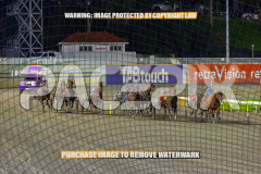 2026_Pacepix_GP07082026_Race2_SohoMoonraker_WIN_WEB-7
