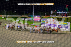 2026_Pacepix_GP07082026_WEB-50
