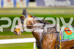 2025_PACEPIX_GP04072025_Race2_SohoMoonraker_WIN_WEB-16