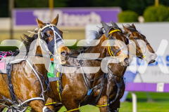2025_PACEPIX_GP04072025_Race2_SohoMoonraker_WIN_WEB-2
