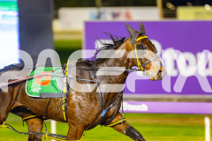 2025_PACEPIX_GP04072025_Race2_SohoMoonraker_WIN_WEB-6
