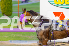 2025_PACEPIX_GP22082025_Race2_Soundwave_WIN_WEB-12