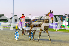 2025_PACEPIX_GP22082025_Race2_Soundwave_WIN_WEB-14