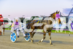 2025_PACEPIX_GP22082025_Race2_Soundwave_WIN_WEB-15