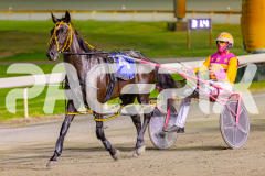 2025_PACEPIX_GP22042025_RACE2_SpiritedWhitby_WIN_WEB-18
