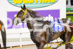 2025_PACEPIX_GP22042025_RACE2_SpiritedWhitby_WIN_WEB-19