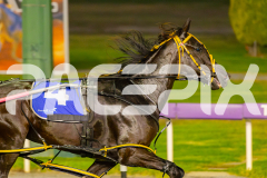 2025_PACEPIX_GP22042025_RACE2_SpiritedWhitby_WIN_WEB-6