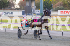 2026_PACEPIX_GP20022026_WEB-31-GP_WEB-RES-EXPORT-2