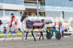 2026_PACEPIX_GP20022026_WEB-36-GP_WEB-RES-EXPORT-2