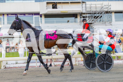 2026_PACEPIX_GP20022026_WEB-37-GP_WEB-RES-EXPORT-2