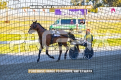 2026_PACEPIX_GP27102026_Race2_SplashOfCash_WIN_WEB-15