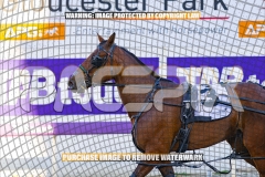 2026_PACEPIX_GP27102026_Race2_SplashOfCash_WIN_WEB-16