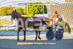 2026_PACEPIX_GP27102026_Race2_SplashOfCash_WIN_WEB-17