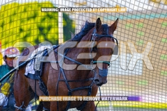 2026_PACEPIX_GP27102026_Race2_SplashOfCash_WIN_WEB-18