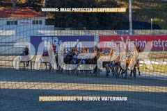 2026_PACEPIX_GP27102026_Race2_SplashOfCash_WIN_WEB-3