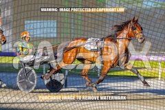 2026_PACEPIX_GP27102026_Race2_SplashOfCash_WIN_WEB-5
