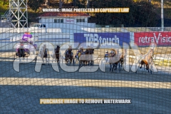 2026_PACEPIX_GP27102026_Race2_SplashOfCash_WIN_WEB-7