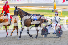 2025_PACEPIX_GP26122025_RACE2_SpringLine_WIN_WEB-11