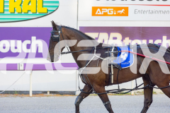 2025_PACEPIX_GP26122025_RACE2_SpringLine_WIN_WEB-12