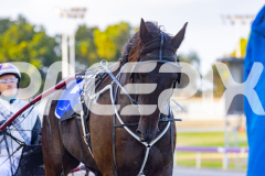 2025_PACEPIX_GP26122025_RACE2_SpringLine_WIN_WEB-13