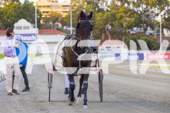 2025_PACEPIX_GP26122025_RACE2_SpringLine_WIN_WEB-15
