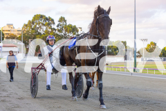 2025_PACEPIX_GP26122025_RACE2_SpringLine_WIN_WEB-16