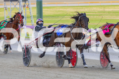 2025_PACEPIX_GP26122025_RACE2_SpringLine_WIN_WEB-4