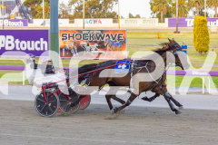 2025_PACEPIX_GP26122025_RACE2_SpringLine_WIN_WEB-7