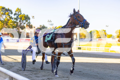 2026_PACEPIX_GP03032026_RACE2_StateMyCase_WIN_WEB-10