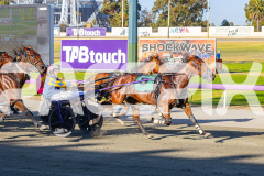 2026_PACEPIX_GP03032026_RACE2_StateMyCase_WIN_WEB-5