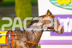 2025_GP29042025_Race2_StrikeMaster_WIN_WEB-10