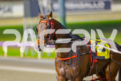 2025_GP29042025_Race2_StrikeMaster_WIN_WEB-14