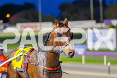 2025_GP29042025_Race2_StrikeMaster_WIN_WEB-15