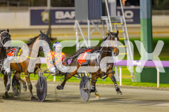 2025_PACEPIX_GP16052025_Race2_SugarApple_WIN_WEB-2