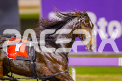 2025_PACEPIX_GP16052025_Race2_SugarApple_WIN_WEB-4