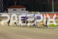 2025_PACEPIX_GP16052025_Race2_SugarApple_WIN_WEB-5