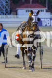 2025_PACEPIX_GP31122025_RACE2_TheDarkNight_WIN_WEB-16