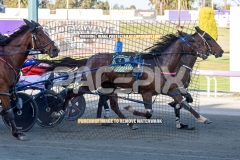 The-First-Cut_20-10-2026_WIN_Gloucester-Park_2__07