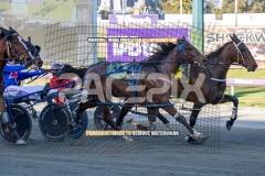 The-First-Cut_20-10-2026_WIN_Gloucester-Park_2__08