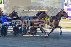 The-First-Cut_20-10-2026_WIN_Gloucester-Park_2__09