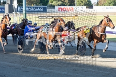 The-First-Cut_20-10-2026_WIN_Gloucester-Park_2__11