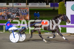Thelittle-Master_26-06-2026_WIN_Gloucester-Park_2__03