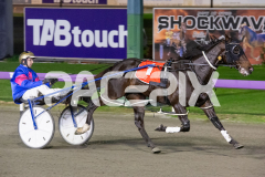 Thelittle-Master_26-06-2026_WIN_Gloucester-Park_2__04